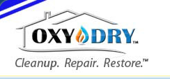 OxyDry Proves To Be The Mold Expert In Oklahoma City