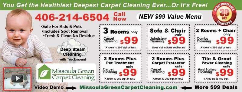 Print Advertising For Carpet Cleaners: My Experience And Conclusion2