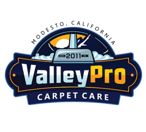 valleyPro logo